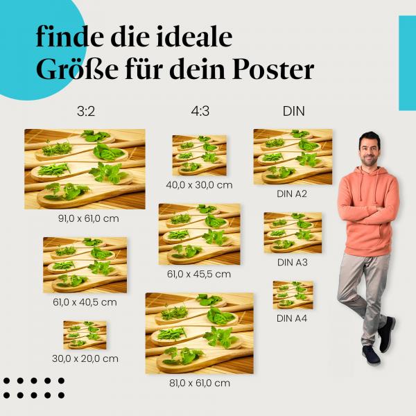 "Frische Kräuter auf Holzlöffeln": Poster - Kochen, Essen & Zubereitung