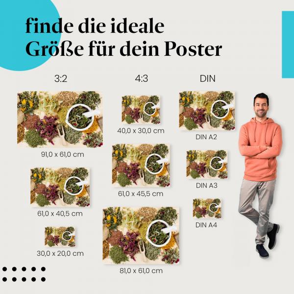 Heilpflanzen & Natur: Kräuterposter "Kräuterwissen" - Vielfalt & Anwendung