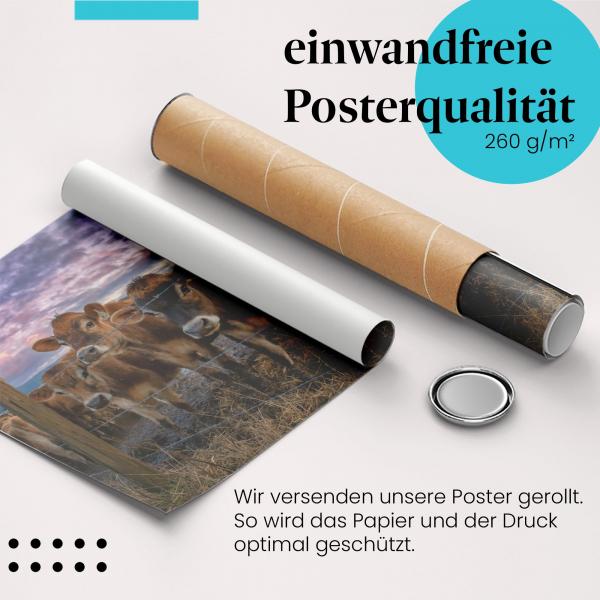 Gerolltes Poster "Kühe" - Tierfotografie, sicher verpackt.