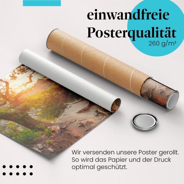 Gerolltes Poster "Küstenpfad". Wanderung am Meer, sicher verpackt.