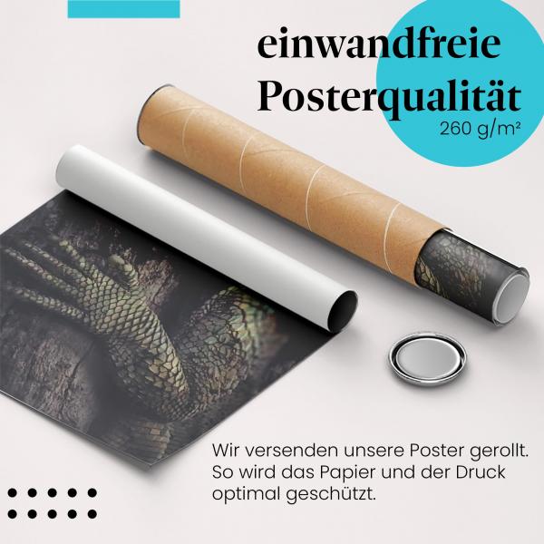 Gerolltes Poster "Leguan". Reptilien & Textur, sicher verpackt.