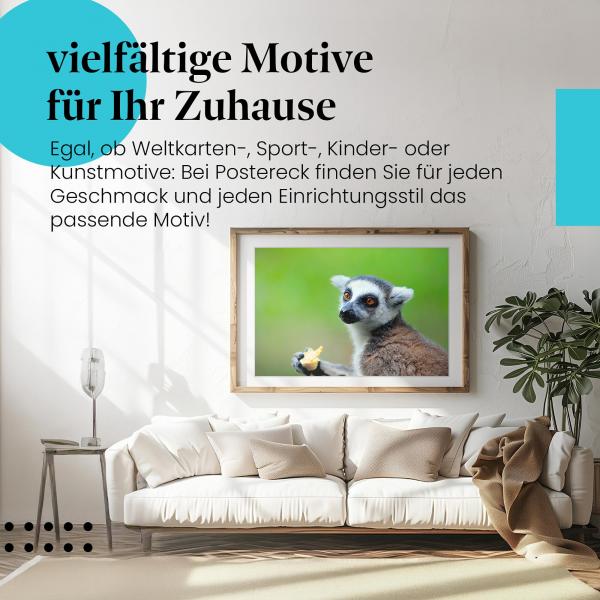 Leinwandbild "Lemur": Obst, große Augen - neugierig & niedlich.