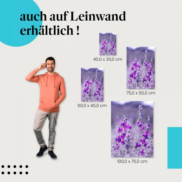 Lila Blumen wiegen sich im Wind - Nahaufnahme als Leinwandbild - zarte und pastellige Fotografie.