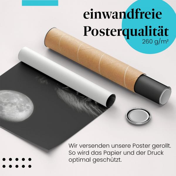 Gerolltes Poster "Löwe im Mondlicht" - Magische Atmosphäre, sicher verpackt.