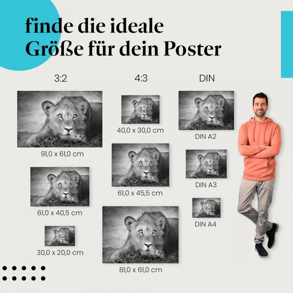 Löwenjunges in Schwarz-Weiß Poster: Elegante Wildtier-Deko!