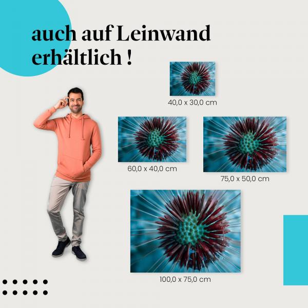 Löwenzahn: Leinwandbild. Samenkörbchen, Makro, Blau, abstrakt.