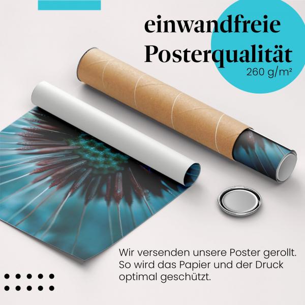 Gerolltes Poster "Löwenzahn" - Natur & Kunst, sicher verpackt.