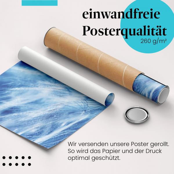 Gerolltes Poster "Löwenzahnsamen", Blau, abstrakt.