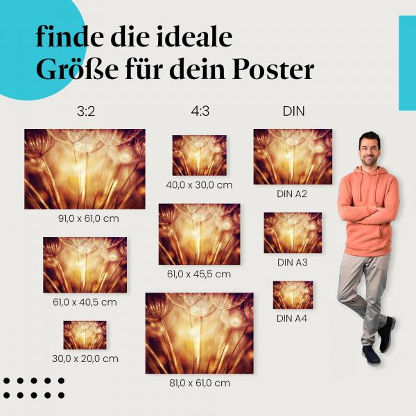 Makroaufnahme: "Vergänglichkeit in Gold" - Poster mit Löwenzahnsamen & Sonnenlicht