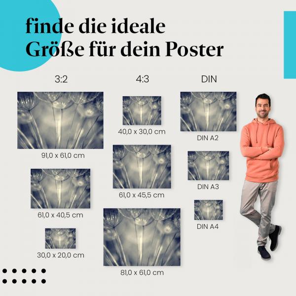 Abstrakt & elegant: "Filigrane Schönheit" - Poster mit Löwenzahnsamen in Schwarzweiß