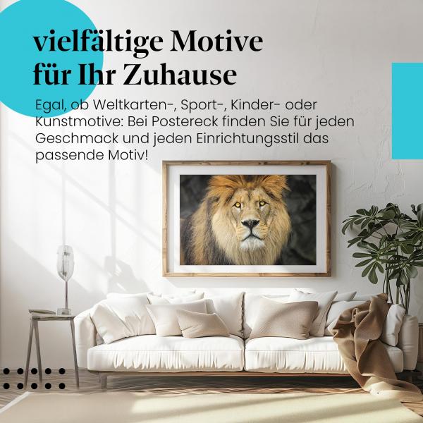 Leinwandbild "Löwe": Majestätischer Blick, goldene Mähne - ein kraftvolles Motiv.