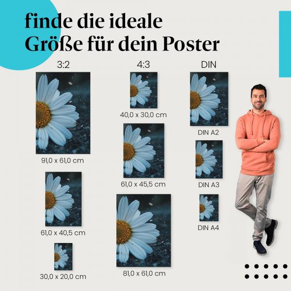 Entdecke die passende Postergröße: Margerite, Asphalt, Kontrast, melancholisch.