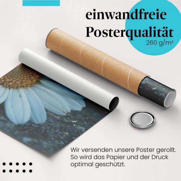 Gerolltes Poster "Margerite auf Asphalt" - Zerbrechlichkeit & Schönheit, sicher verpackt.