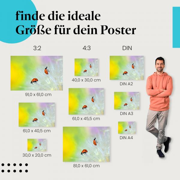 Entdecke die passende Postergröße: Marienkäfer auf Pusteblume, Glück, Frühling.