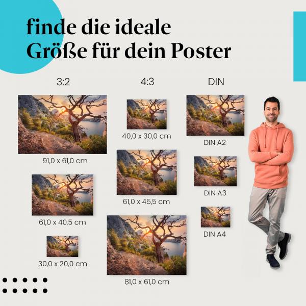 Entdecke die passende Postergröße: Knorriger Baum, Klippe, Sonnenuntergang, Pfad.