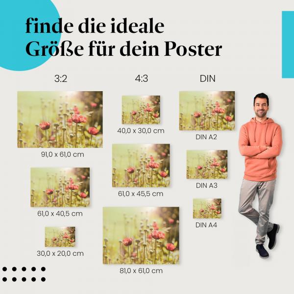 "Rote Mohnblumen" Poster: Finde deine passende Größe und hol dir die Ruhe der Natur in deine vier Wände!