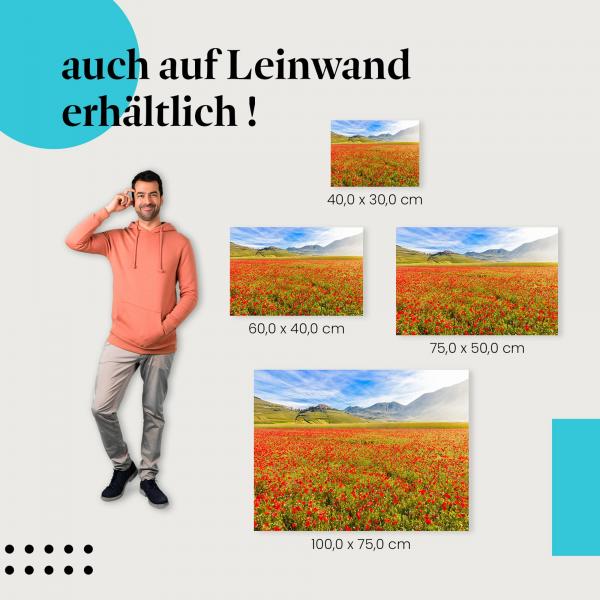 Leinwandbild "Blühendes Mohnblumenfeld": Natur & Reise