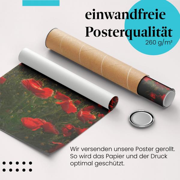 Gerolltes Poster "Mohnblumenfeld" - Blumenpracht & Sommer, sicher verpackt.