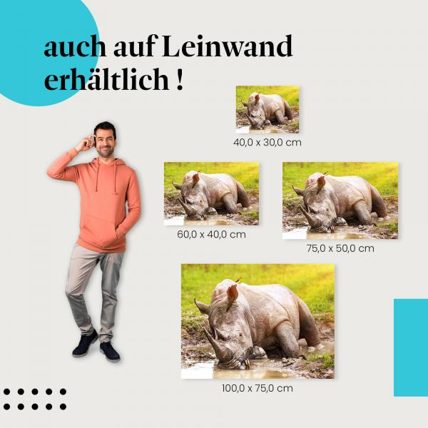 Leinwandbild "Nashorn im Schlamm": Natur & Wildlife