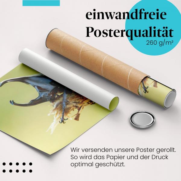 Gerolltes Poster "Nashornkäfer". Insektenwelt, sicher verpackt.