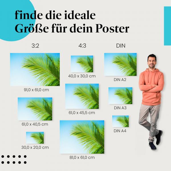 Palme, Poster: Himmel, blau, Sonnenlicht, Urlaub.