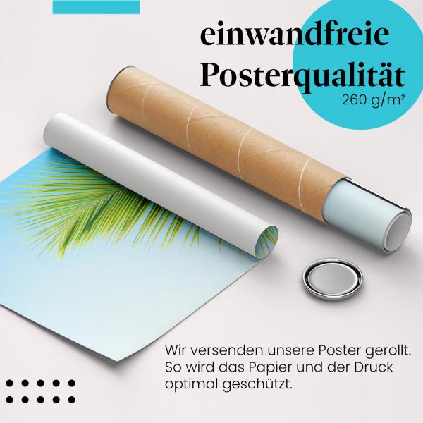 Gerolltes Poster "Palme". Tropen & Urlaub, sicher verpackt.