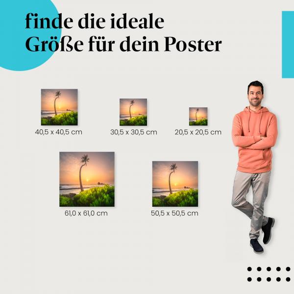 Palme, Poster: Strand, Sonnenuntergang, Wellen, Felsen.