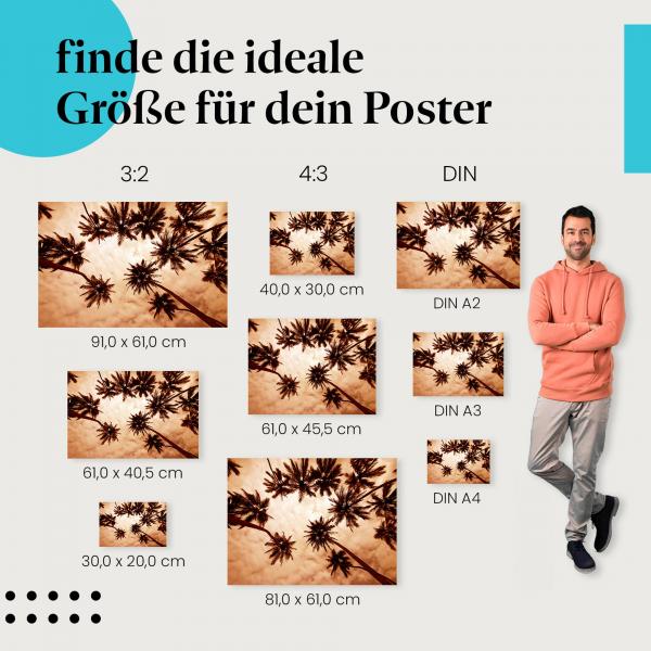 Palmen, Poster: Silhouette, Himmel, exotisch, Urlaub.