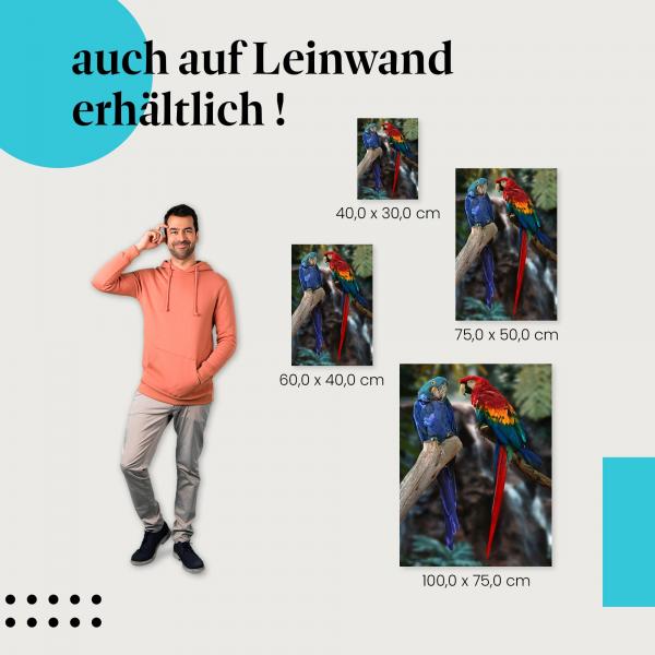 "Papageien" Leinwandbild. Ideale Größe für dein Zuhause, setze stilvolle Akzente mit Kunst!