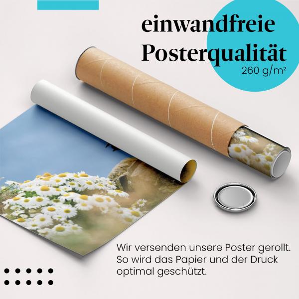 Gerolltes Poster "Papageientaucher" - Tier & Natur, sicher verpackt.