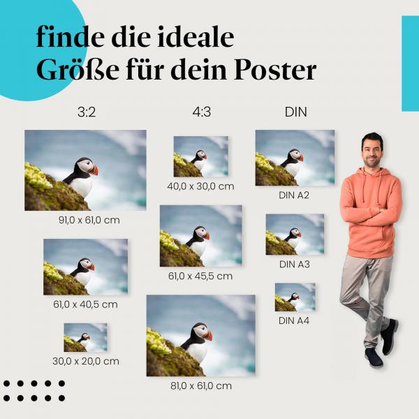 Papageientaucher, Poster: Klippe, bunter Schnabel, Meer.