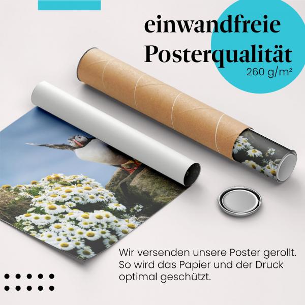 Gerolltes Poster "Papageientaucher" - Tierliebe & Natur, sicher verpackt.