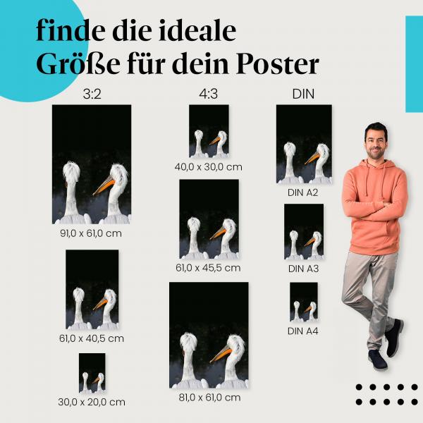 "Zwei Pelikane im Profil": Poster - Wasservögel & Natur