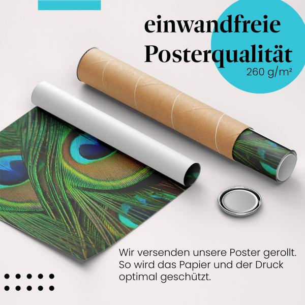 Gerolltes Poster "Pfauenfedern". Exotische Schönheit, sicher verpackt.