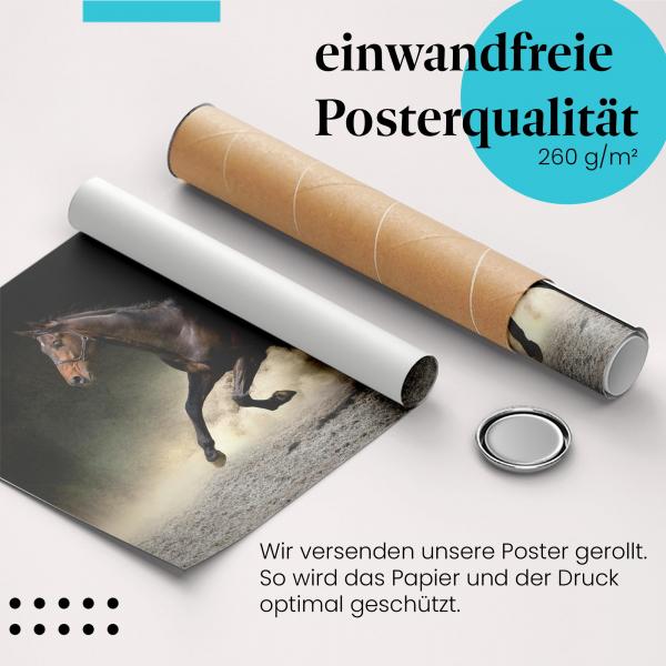 Gerolltes Poster "Galoppierendes Pferd" - Freiheit & Bewegung, sicher verpackt.