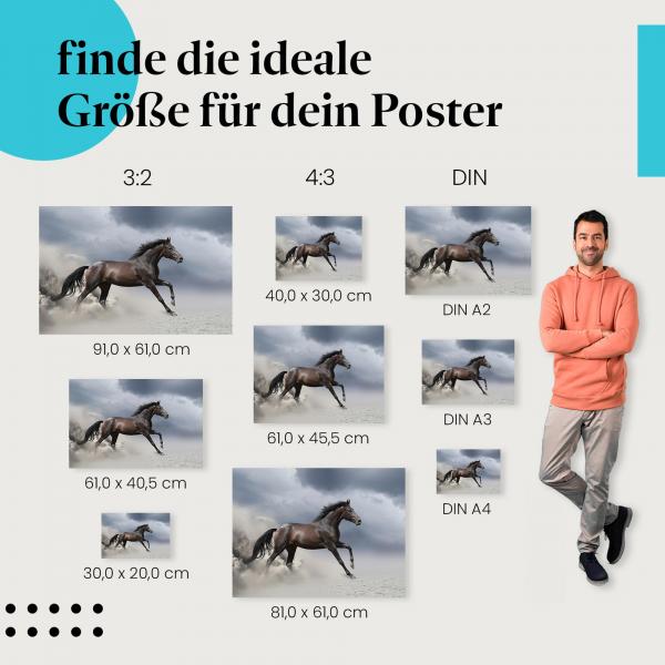 Pferd, Poster: Schwarz, galoppierend, Freiheit, Eleganz, Stärke.