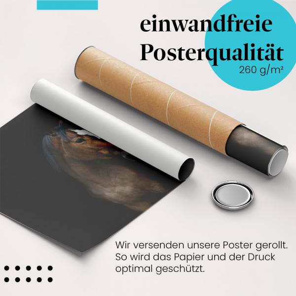 Gerolltes Poster "Pferd" - Tierportrait, sicher verpackt.