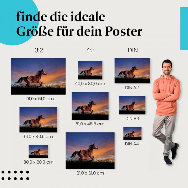 Pferd, Poster: Silhouette, Abendsonne, Freiheit, Lebensfreude.