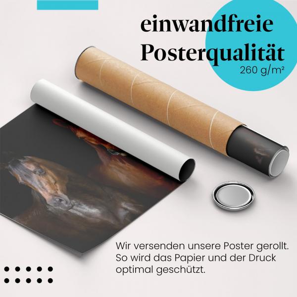 Gerolltes Poster "Pferde" - Tierische Schönheit, sicher verpackt.