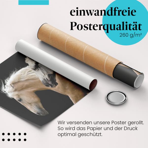 Gerolltes Poster "Pferde im Galopp". Pferde & Bewegung, sicher verpackt.