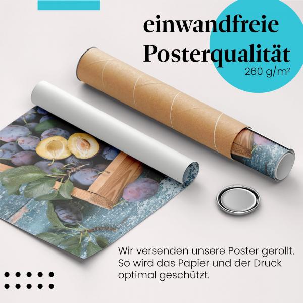 Gerolltes Poster "Pflaumen". Sommer & Geschmack, sicher verpackt.