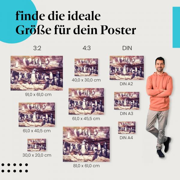 "Einsamer Pinguin": Poster - Pinguin auf Felsen - Fokus & Individualität