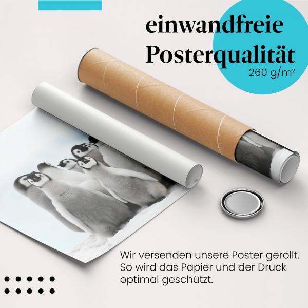 Gerolltes Poster "Pinguin-Küken". Tierbabys & Winter, sicher verpackt.