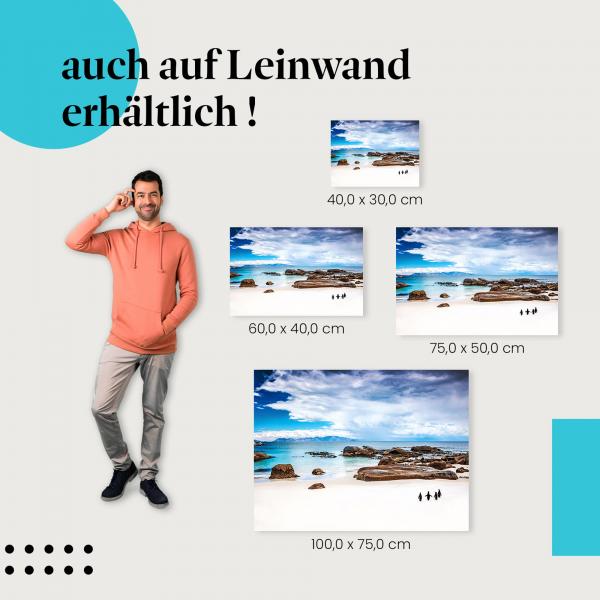 Leinwandbild "Pinguine am Strand": Tierwelt & Urlaubsfeeling