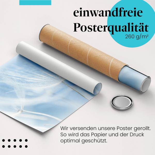 "Pusteblume": Gerolltes Poster - blau, zart.