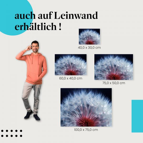 Pusteblume: Leinwandbild. Makro, weiße Samen, roter Boden.