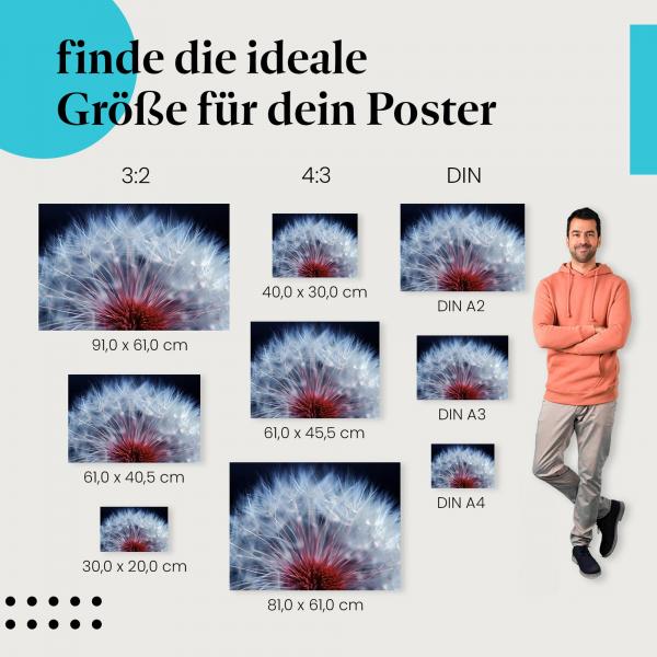 Entdecke die passende Postergröße: Pusteblume, Makro, weiße Samen, roter Boden.