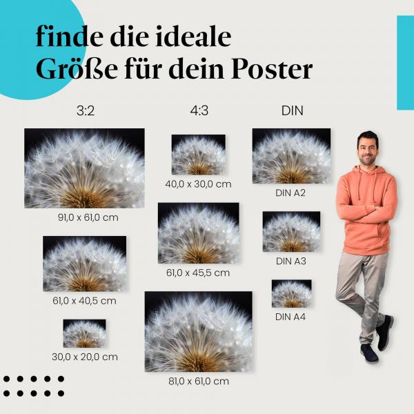 Wähle die ideale Postergröße: Makroaufnahme einer Pusteblume vor schwarzem Hintergrund.