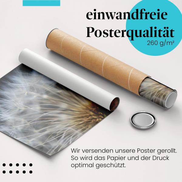 Gerolltes Poster "Pusteblume". Vergänglichkeit & Leichtigkeit, sicher verpackt.