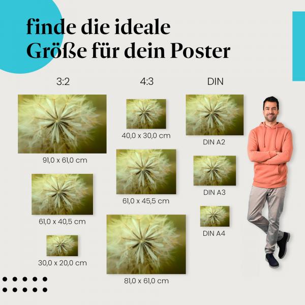 Makroaufnahme Pusteblume: Poster "Zarte Schönheit" - Feine Samen im Sonnenlicht